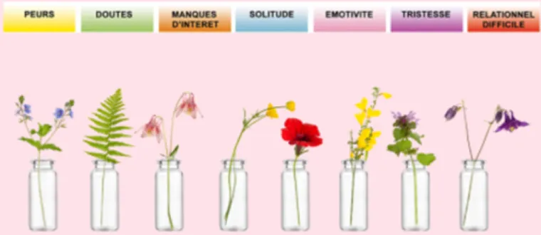 Les 7 états d'esprit des fleurs de Bach