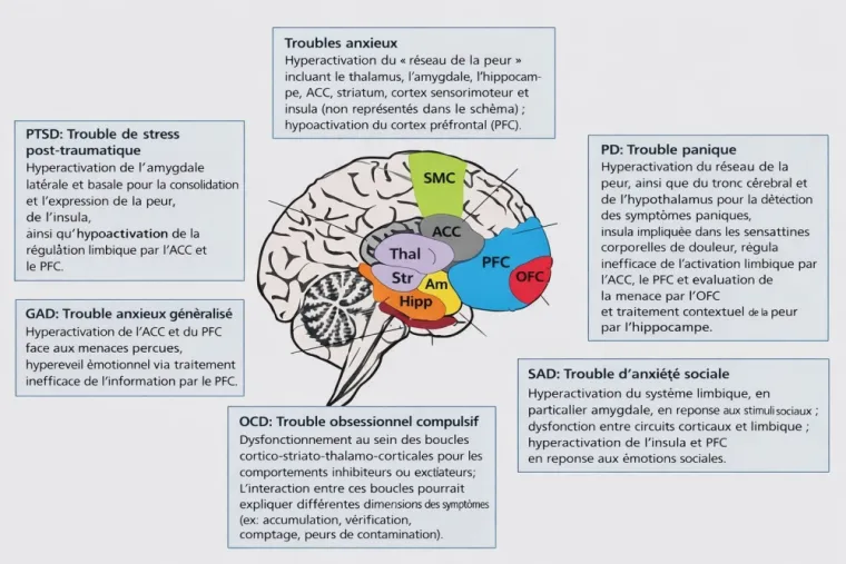 Insomnie liée à l’anxiété : comprendre le cerveau pour rRetrouver le sommeil naturellement à Toulouse, Toulouse, Yuluka