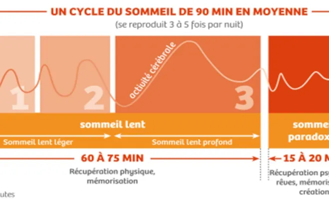 Les phases du sommeil, Toulouse